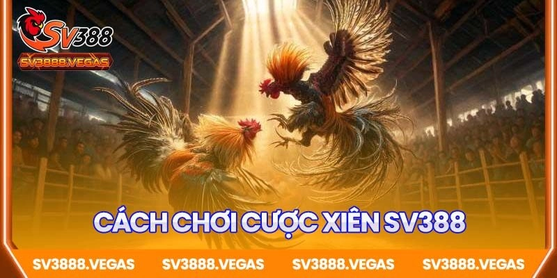 Hướng dẫn cách chơi sv388 cược xiên