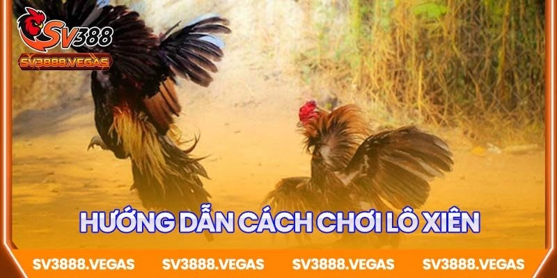 Hướng dẫn cách chơi lô xiên SV388