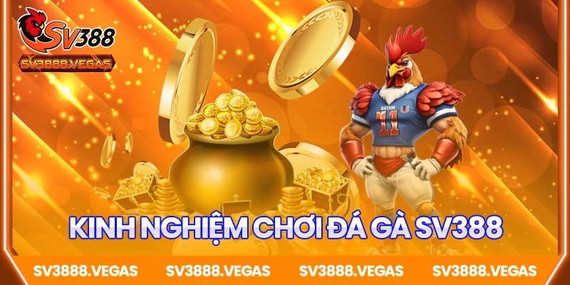 Kinh nghiệm chơi Đá Gà SV388 từ chuyên gia
