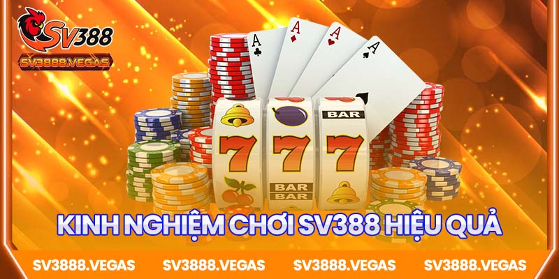 Kinh nghiệm chơi SV388 hiệu quả