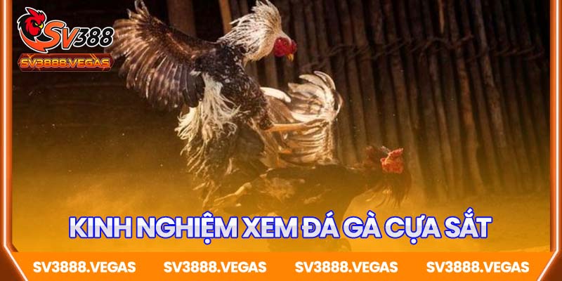 Kinh nghiệm khi xem đá gà cựa sắt tại SV388